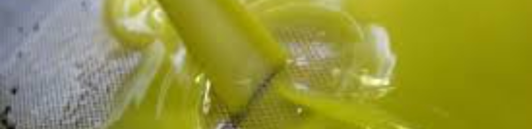 1 olivo-potatura e concimazione: Immagine Header