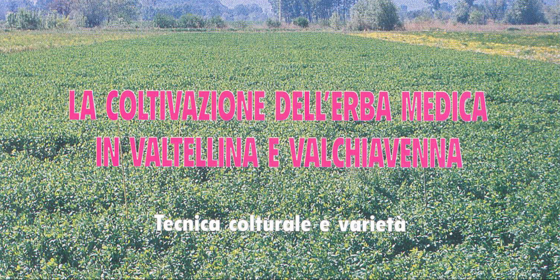 La coltivazione dell'erba medica in Valtellina e Valchiavenna: Immagine Elenchi